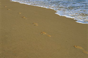 Footprints in the sand on a beach and water's edge