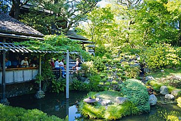 The Japanese Tea Garden, Golden Gate Park, San Francisco, USA