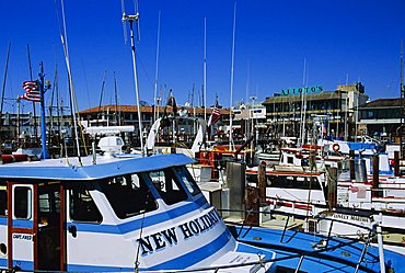 Fleet of small fishing boats around Pier 39, Fisherman's  Wharf, San Francisco, California, USA