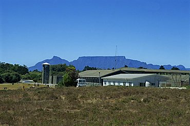 Robben Island Prison, Cape Town, Cape Province, South Africa, Africa