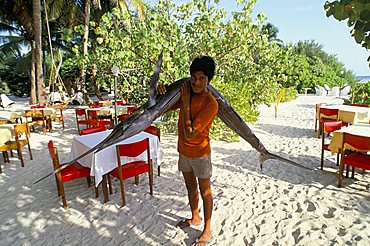 Boy carrying freshly caught swordfish, Embudu, The Maldives, Indian Ocean, Asia