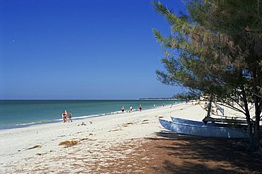 Beach north of Longboat Key, Anna Maria Island, Gulf Coast, Florida, United States of America, North America