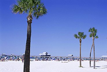 Clearwater Beach, Florida, United States of America (U.S.A.), North America