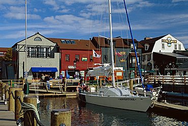 Moored yacht and wooden buildings on the waterfront at Bannister and Bowens Wharves, Newport, Rhode Island, New England, USA