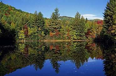 Tranquil scene of trees in autumn (fall) foliage reflected in a lake, near Jackson, New Hampshire, New England, United States of America, North America