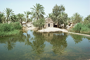 Suk-esh-Shiukh village, Marshes, Iraq, Middle East