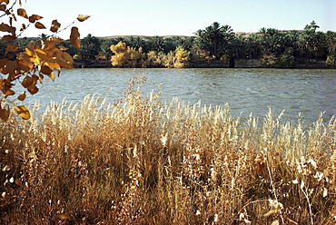 Autumn, Ana, on the River Euphrates, Iraq, Middle East