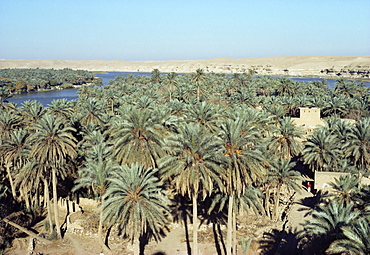 Looking north to Qa'lat'Ana, Iraq, Middle East