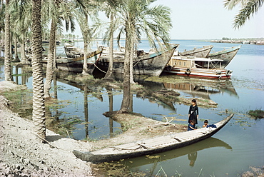 River Tigris, near Qurna, Iraq, Middle East