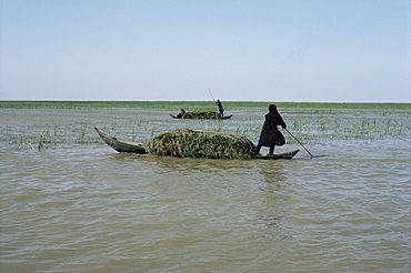 Grindly, Iraq, Middle East