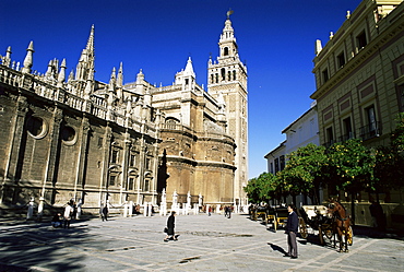 The cathedral, Seville, Andalucia, Spain, Europe