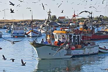 Fishing boats, Lagos, Algarve, Portugal, Europe