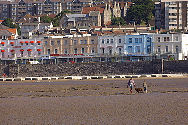 Woman, boy and dog, Weston-super-Mare, Somerset, England, United Kingdom, Europe Europe