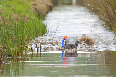 World Bogsnorkelling Championships, conceived in 1985 by Gordon Green, take place at Waen Rhydd Bog in the Cambrian Mountains, Powys, Wales, United Kingdom, Europe