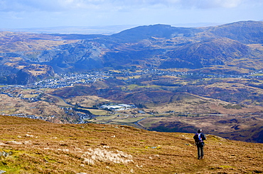 Snowdonia National Park, Gwynedd, Wales, United Kingdom, Europe