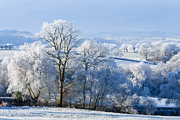 Frosty landscape, Powys, Wales, UK.