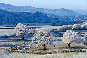 Frosty landscape, Powys, Wales, UK.