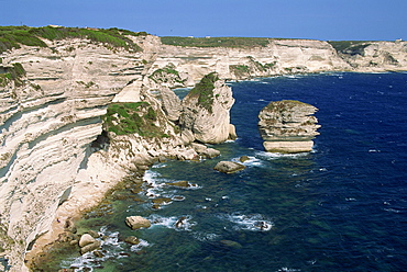 Limestone cliffs on the coastline near Bonifacio, island of Corsica, France, Mediterranean, Europe