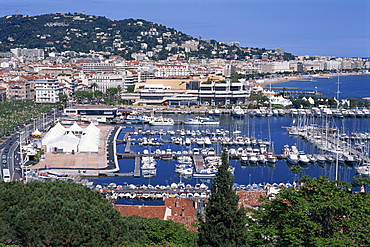 Aerial view over Le Suquet and boats in the harbour, old town, Cannes, Alpes Maritimes, Cote d'Azur, French Riviera, Provence, France, Mediterranean, Europe