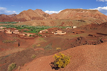 Oasis in arid landscape, Dades Valley, Morocco, North Africa, Africa