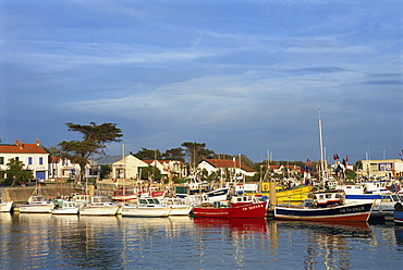 Harbour, La Cotiniere, Ile d'Oleron, Poitou Charentes, France, Europe