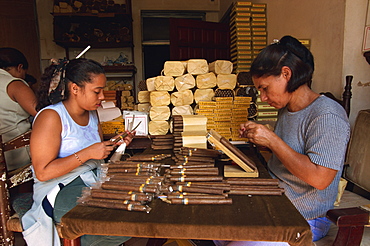 Labelling and wrapping cigars, Santo Domingo, Dominican Republic, Central America