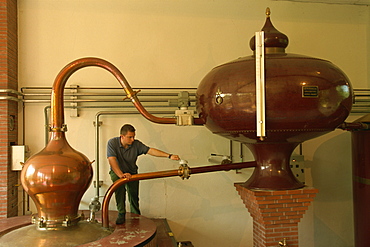 Calvados dstillery, Chateau du Breuil, Auge, Normandie, France, Europe