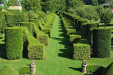 Allee des charmes, Les Jardins d'Eyrignac, Dordogne, Perigord, Aquitaine, France, Europe