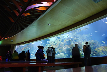 Oceanografic aquarium, City of Arts and Sciences, Valencia, Spain, Europe