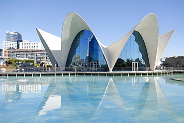 Sumarino restaurant, Oceanografic, City of Arts and Sciences, Valencia, Spain, Europe