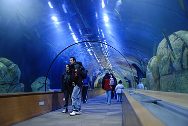 Oceanografic aquarium, City of Arts and Sciences, Valencia, Spain, Europe