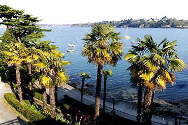 Promenade du Clair de Lune (Moonshine Walk) seen from above, Dinard, Brittany, France, Europe