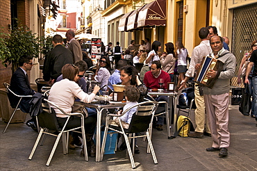 A musician playing the accordion at a street cafe, Seville, Andalusia, Spain, Europe