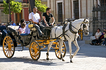 Tourists in horsedrawn cart, Seville, Andalucia, Spain, Europe