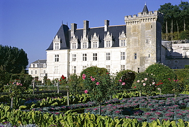 Chateau and gardens including vegetables in potager, Chateau de Villandry, UNESCO World Heritage Site, Loire Valley, Centre, France, Europe