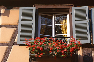 Close-up of typical window with blue shutters and windowbox full of geraniums, Colmar, Alsace, France, Europe