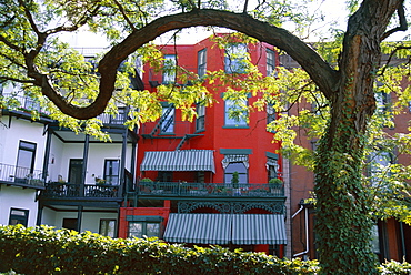 Painted house, Brooklyn, New York, United States of America (U.S.A.), North America