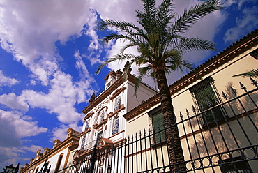 Hospital de la Caridad, El Arenal, Seville, Andalucia, Spain, Europe