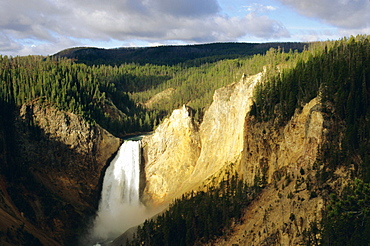 Lower Falls, Grand Canyon, Yellowstone National Park, Wyoming, USA