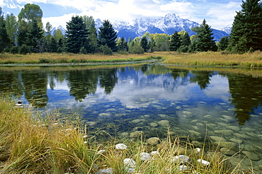 Teton Mountains seen from Schwabacher's Landing, Grand Teton National Park, Wyoming, United States of America (U.S.A.), North America