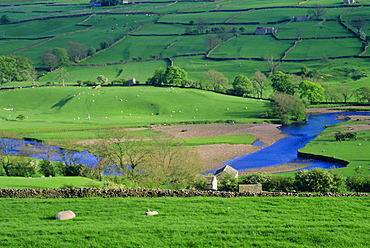 View to river at Reeth, Swaledale, Yorkshire Dales National Park, Yorkshire, England, UK, Europe