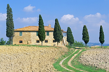 Villa with cypress trees, Pienza, Tuscany, Italy, Europe