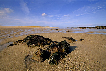 Rocks on Shell Beach, Herm, Channel Islands, United Kingdom, Europe