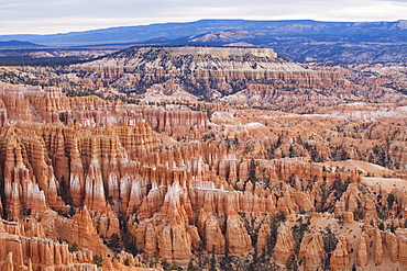 Early morning, Bryce Canyon National Park, Utah, United States of America, North America