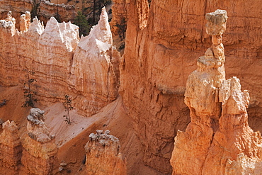 Thor's Hammer, Bryce Canyon National Park, Utah, United States of America, North America