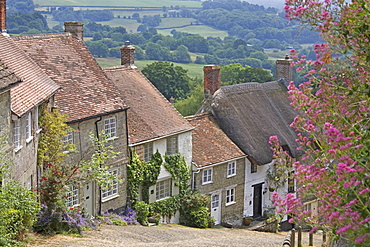 Gold Hill in June, Shaftesbury, Dorset, England, United Kingdom, Europe