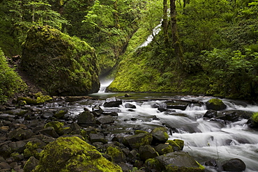 Bridal Veil Falls, Columbia River Gorge, Oregon, United States of America, North America