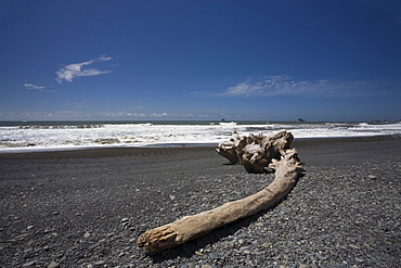 Rialto Beach, Olympic Peninsula, Washington State, United States of America, North America