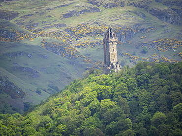 Wallace Monument, Stirling, Scotland, United Kingdom, Europe