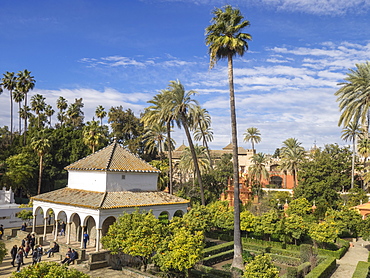 The Gardens of the Royal Palace, Seville, Andalucia, Spain, Europe